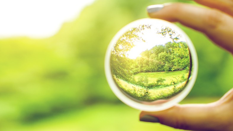 a hand holding a glass magnifier in front of a lush green field. Inside the magnifying glass is a clear view of the field.